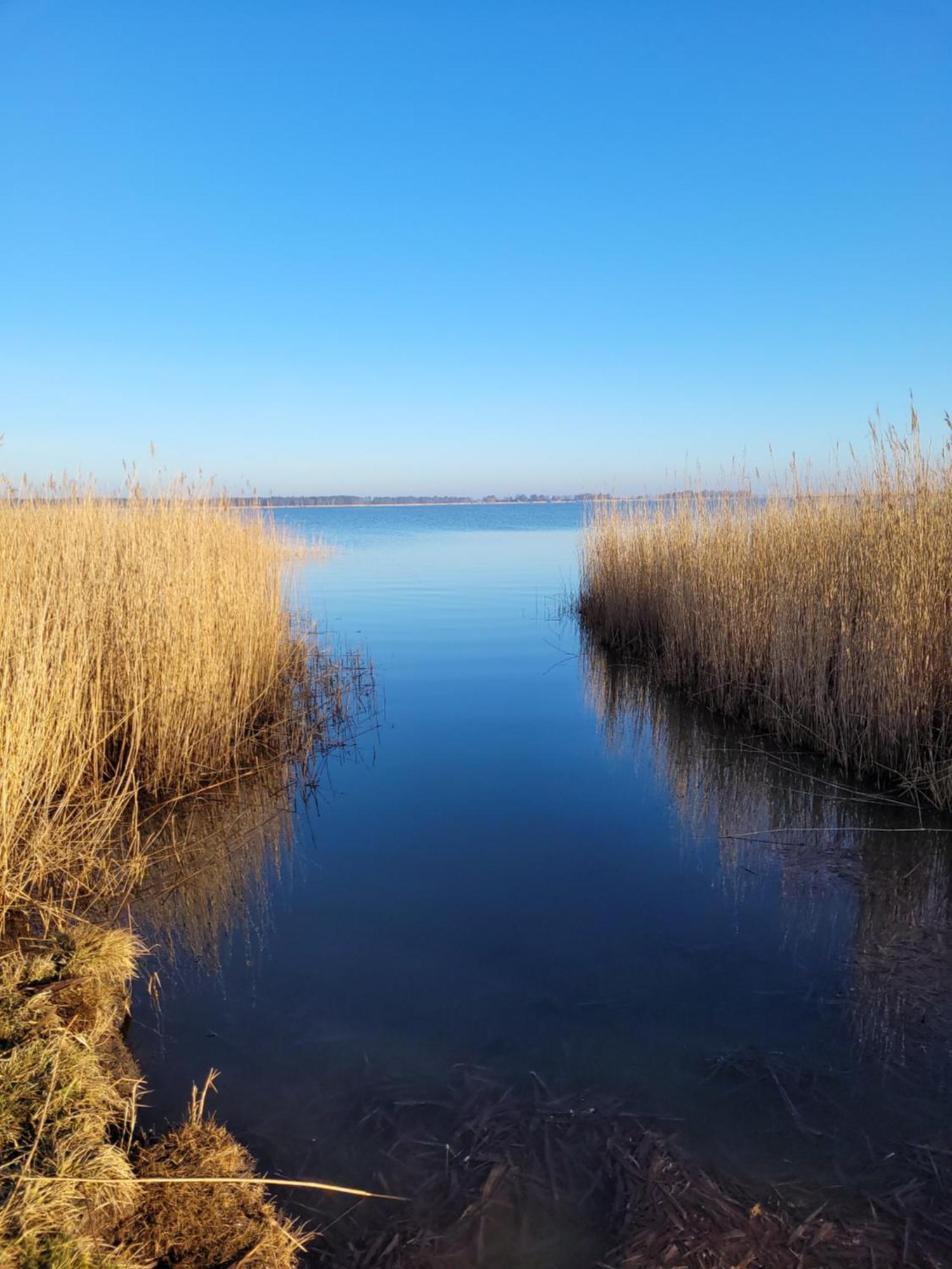 Urlaub Unterm Reetdach Auf Dem Darss Fuhlendorf (Mecklenburg-Vorpommern) Exterior foto
